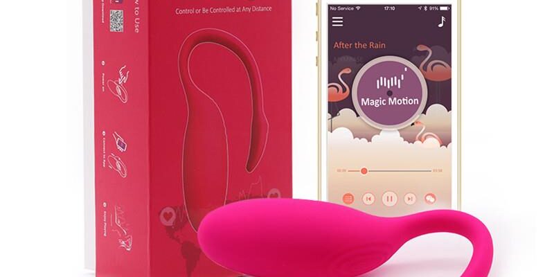 Flamingo Vibrator
